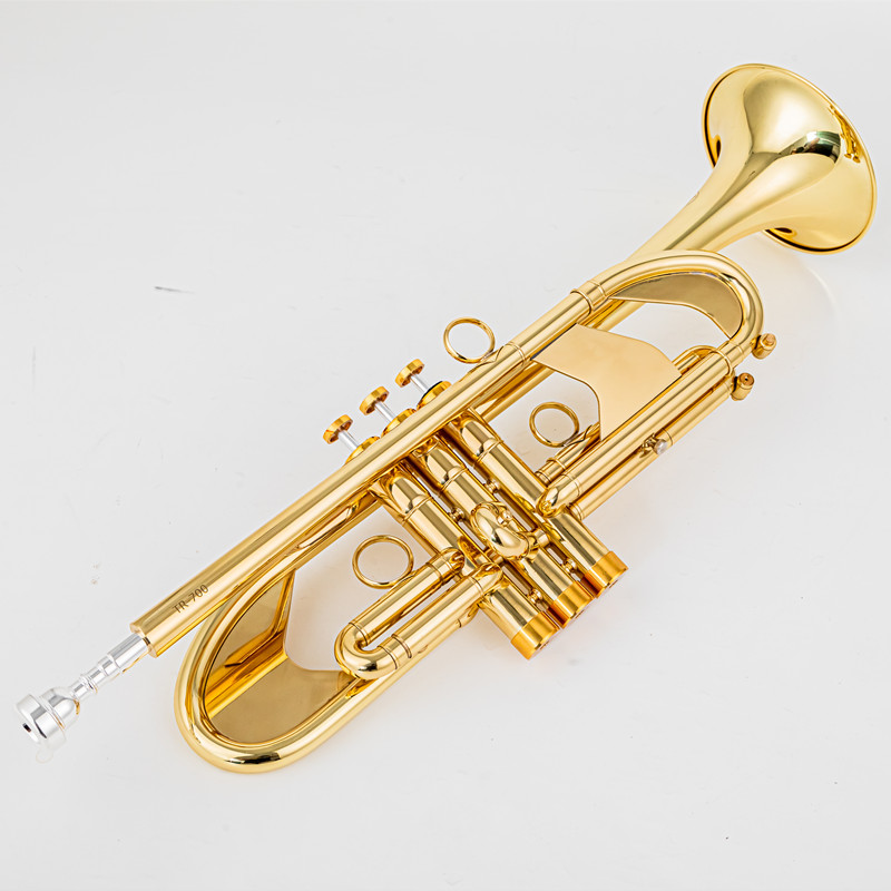 Musical Instrument Fagot - Vincent BACH 700 Bb Trompette B