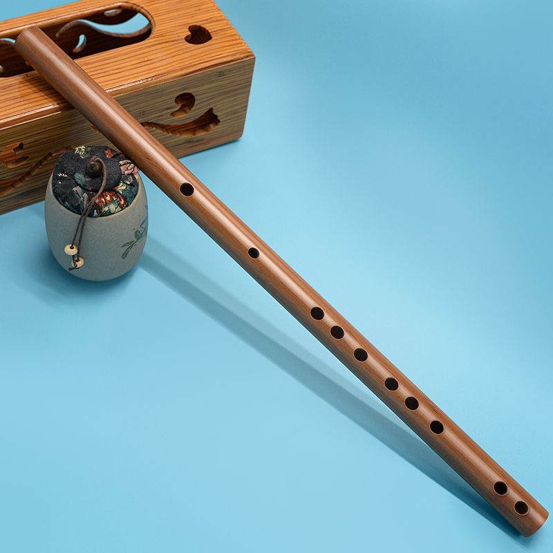 Flûte transversale professionn - Musical Instrument Fife avis et prix