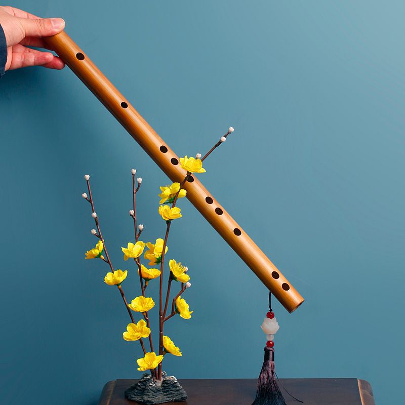 Flûte transversale professionn - Musical Instrument Fife avis et prix