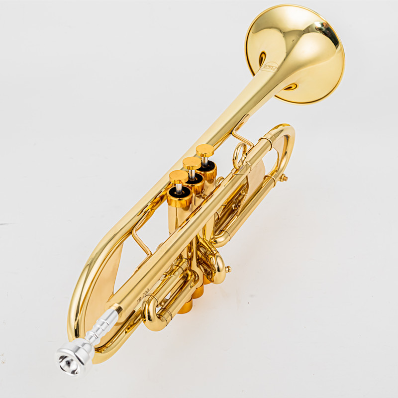 Vincent BACH 700 Bb Trompette  - Musical Instrument Fagot avis et prix