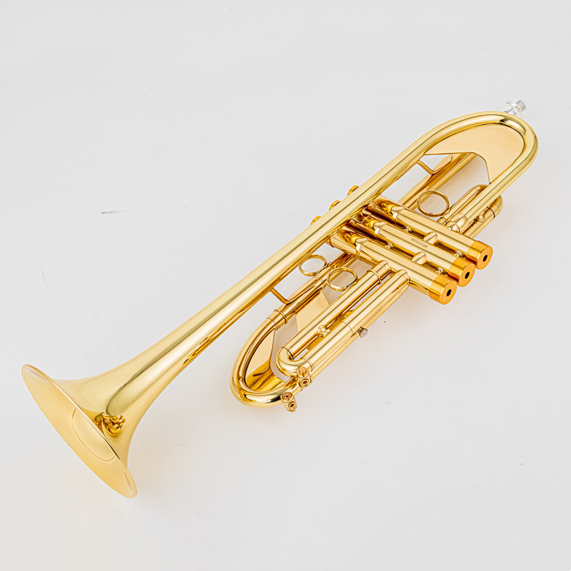 Vincent BACH 700 Bb Trompette  - Musical Instrument Fagot avis et prix